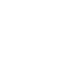 表演项目