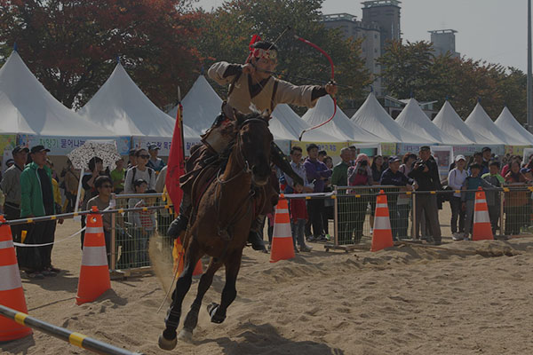 제2회 예천세계활축제